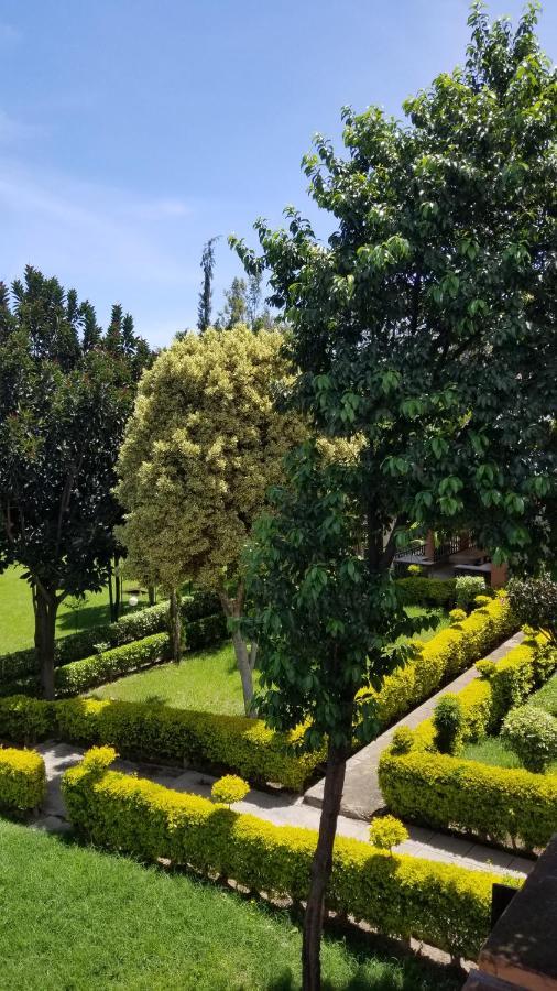 Mataman Gardens Hotel ไนวาชา ภายนอก รูปภาพ